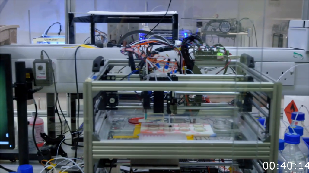 [Image: fkmt3z8nu7r1.png]