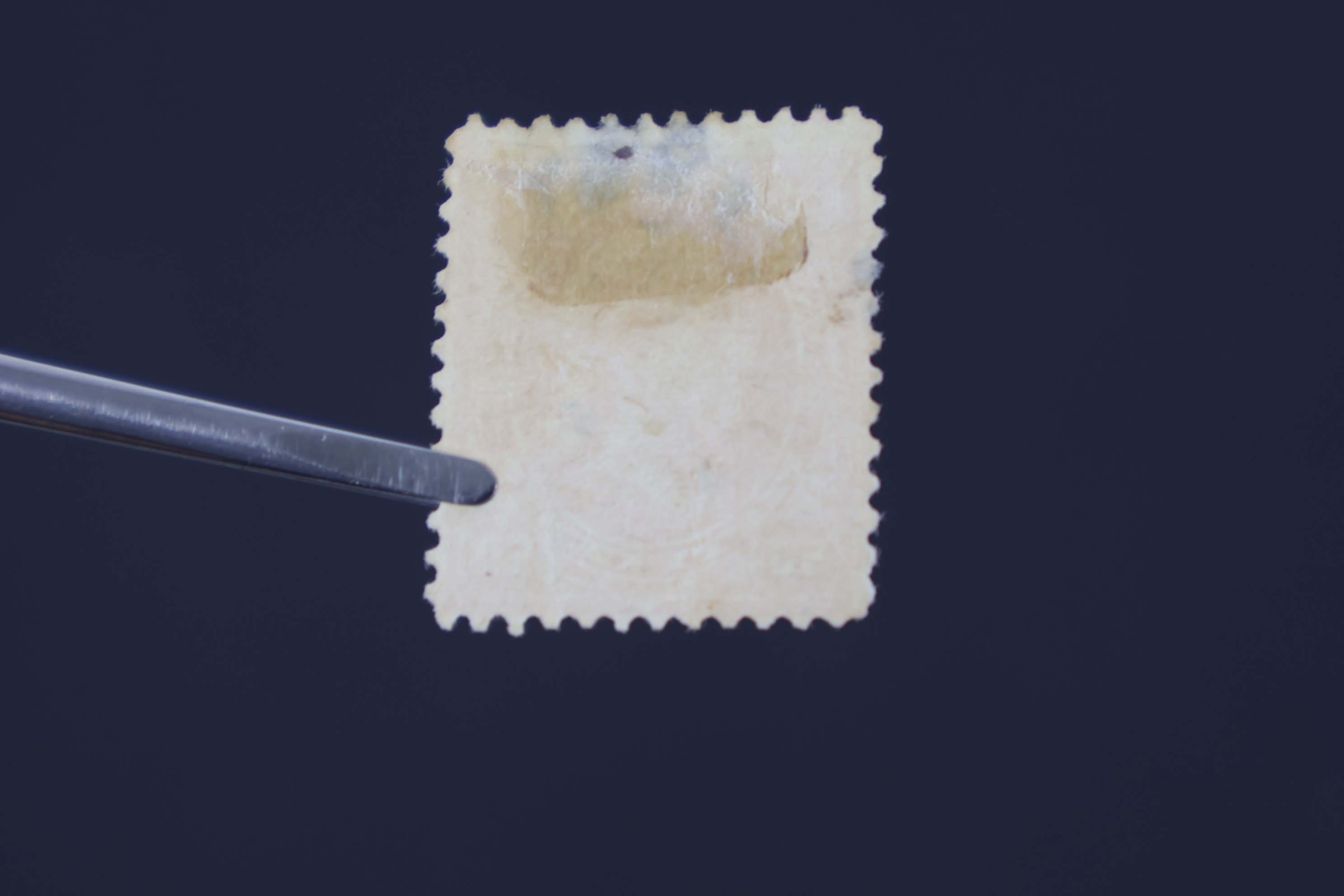 IMG-0305