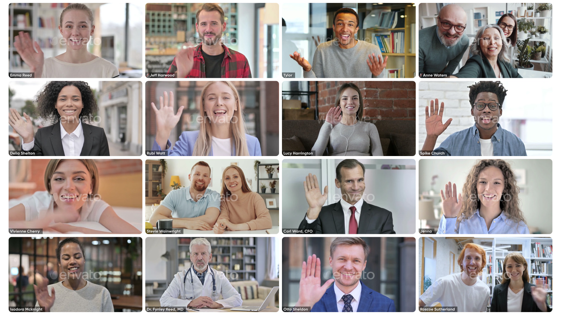 Zoom Views: Online Video Conference Toolkit - 27