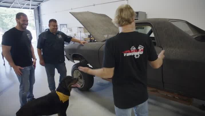 [Image: vr26memy80uv.jpg]