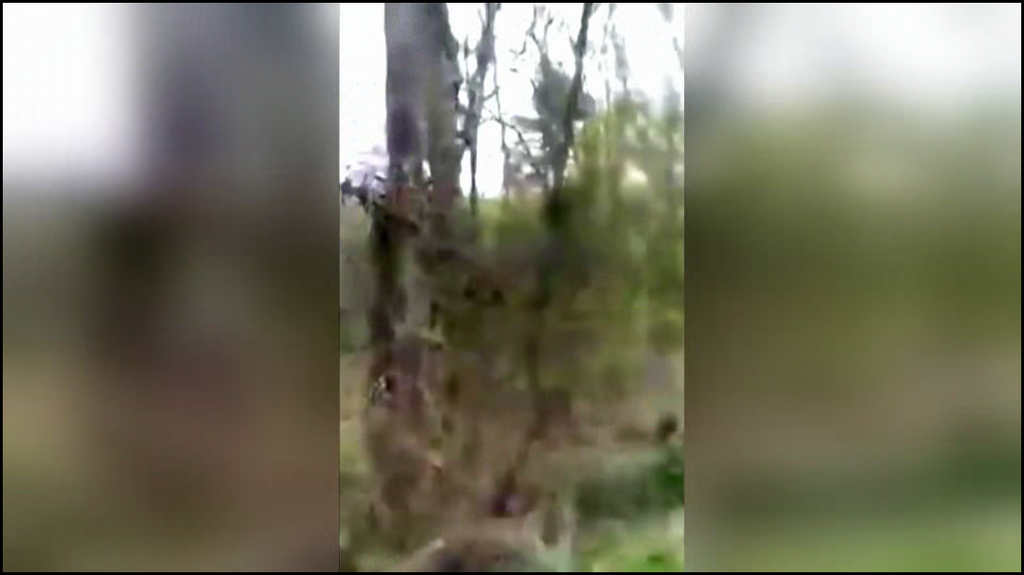 [Image: d9im83icjyu6.png]