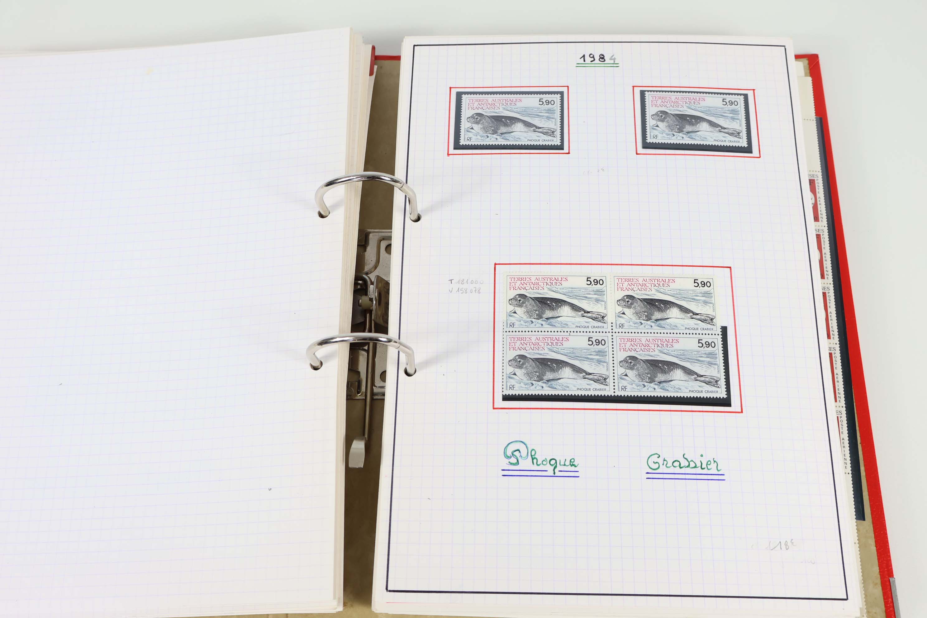 IMG-7029