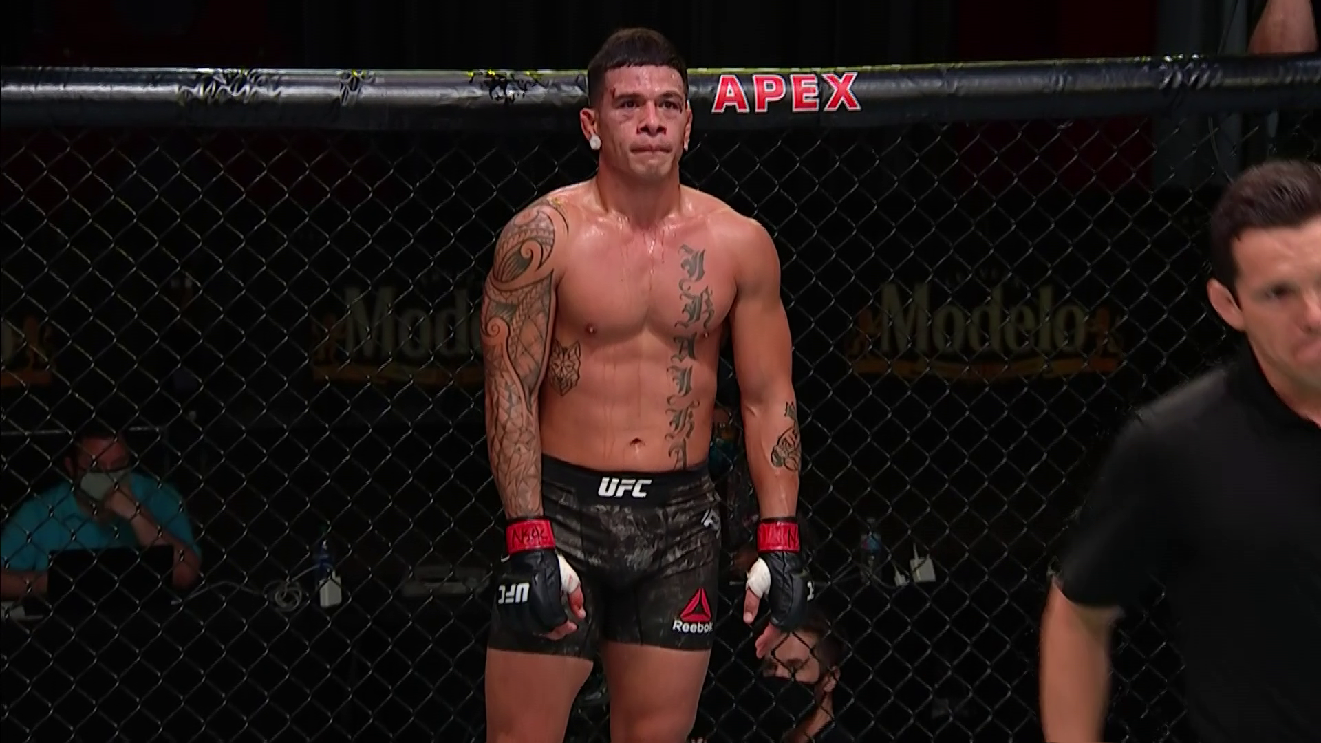 UFC Fight Night 175 Full Event 1080i HDTV -WH
