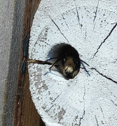 SAVE_20200331_152216