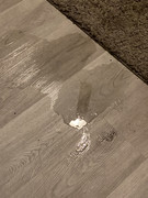 24037AE7-A336-41DE-A851-B47B9DB85787