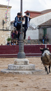 IMG-0084