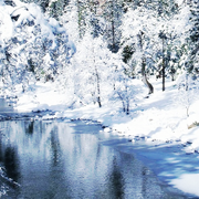 Clockwork-Xmas-Papers-1