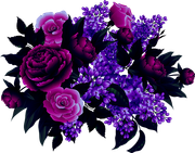 MVDLavender-Love-016