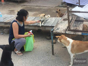 BBG&B13ByeBodhGaya - 11