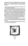Shyem-shtory-i-podushki-Darya-Kostina-232