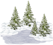 BC-Xmas-In-The-Wood-Elem-44