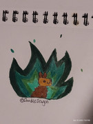 IMG_20231219_194345456