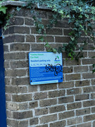 385493291_698173342335129_4107059676124741210_n