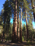 IMG-20180908-171034