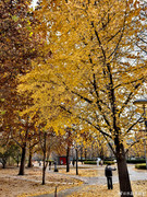 5dfe996bly1i778hmjpuzj22dc35s1l3