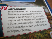 100-7449
