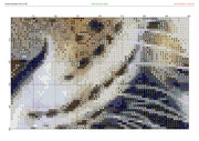 2913246-crosti-ru-color-25