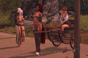 Crimson-Photography-2026-03-03-102304-001