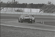  1964 International Championship for Makes 64day20-AC-Cobra-J-Stevens-R-Noseda-1