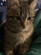 0D9862DE-04CA-4BF5-8DC7-3DDF322C9A4F