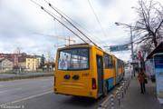 IMG-5366