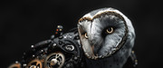 6603a963c32ae026ba197dca-clockwork-circus-color-14