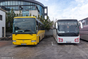 IMG-3818