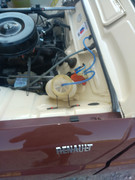 IMG-20230822-183325.jpg