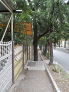 21 типичная ялта - узкий тротуар и дерево посреди