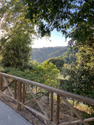 IMG-1734
