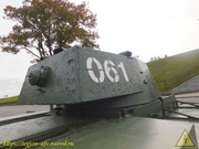 DSCN5134