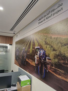 photo_5994570870066104511_y