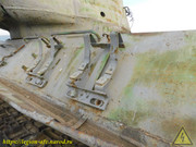 DSCN6530