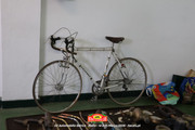 IMG-5435