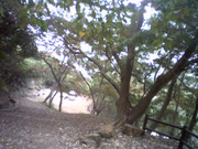 picture-0024_27057878998_o