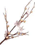 BIBI-PINK-ANGEL-ELEMS-7