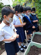 photo-littlefarmer2223-1A-001