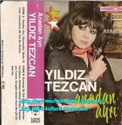 Yildiz-Tezcan-Anadan-Ayri-Turkuola-Almanya-1815-1984