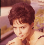 pascale-petit-c29