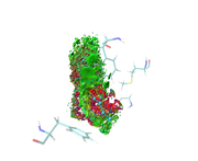 CNP0248195-2-3-vmd.png