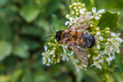 IMG-20190424-133007