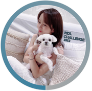 KSH Jelly Bean Blue 1