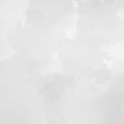 DS-WTL-Paper12