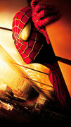 SPIDER MAN