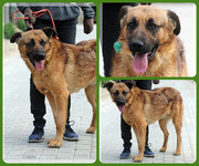 Be-Funky-collage-18.jpg&key=d0400726841a