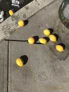 57F95A6A-3CBD-4CE9-8E31-22600809FC31