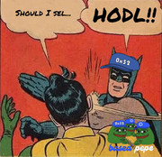 photo_3382@14-12-2024_12-49-04