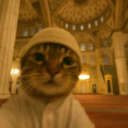 IMG-6170.jpg