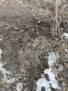 26786D5D-C6FB-4DE0-A617-627204BBA8AC