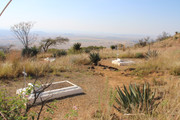 IMG-0292